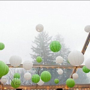 Meet your Posher, Lillian